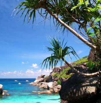 phoca_thumb_l_dsc_0669