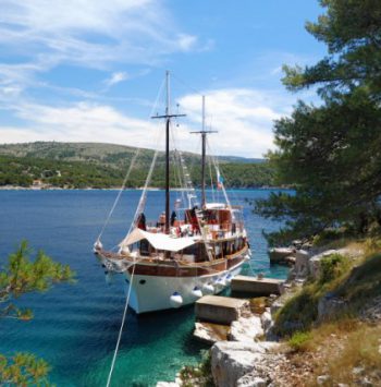 phoca_thumb_l_dsc_2252