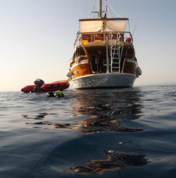 phoca_thumb_l_img_1157